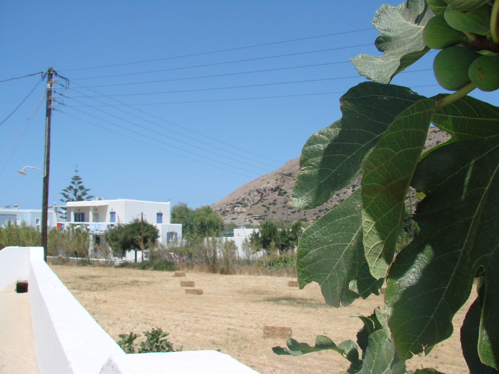 Hotel εvi Evan 2*
