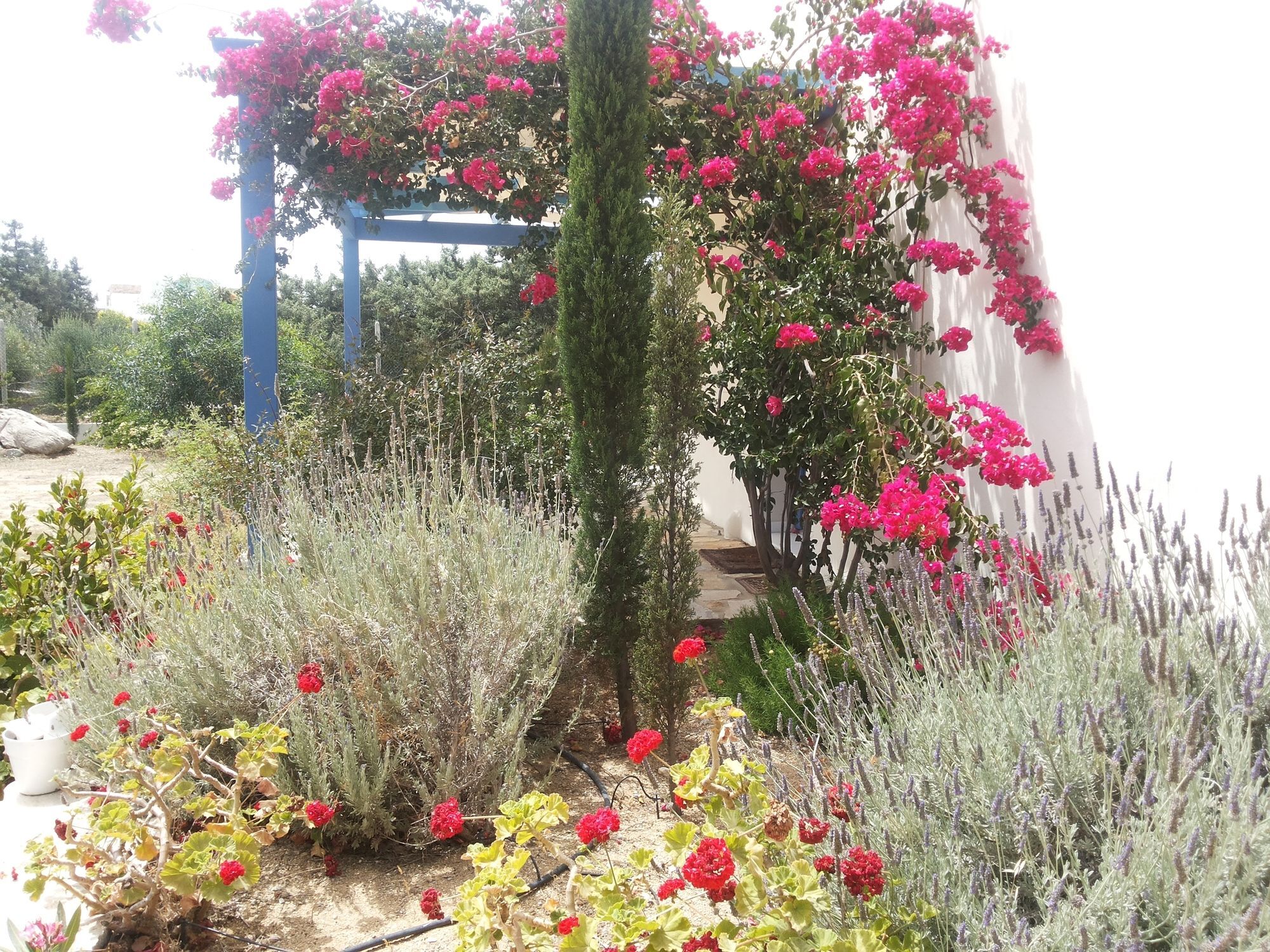 Kedros Aparthotel