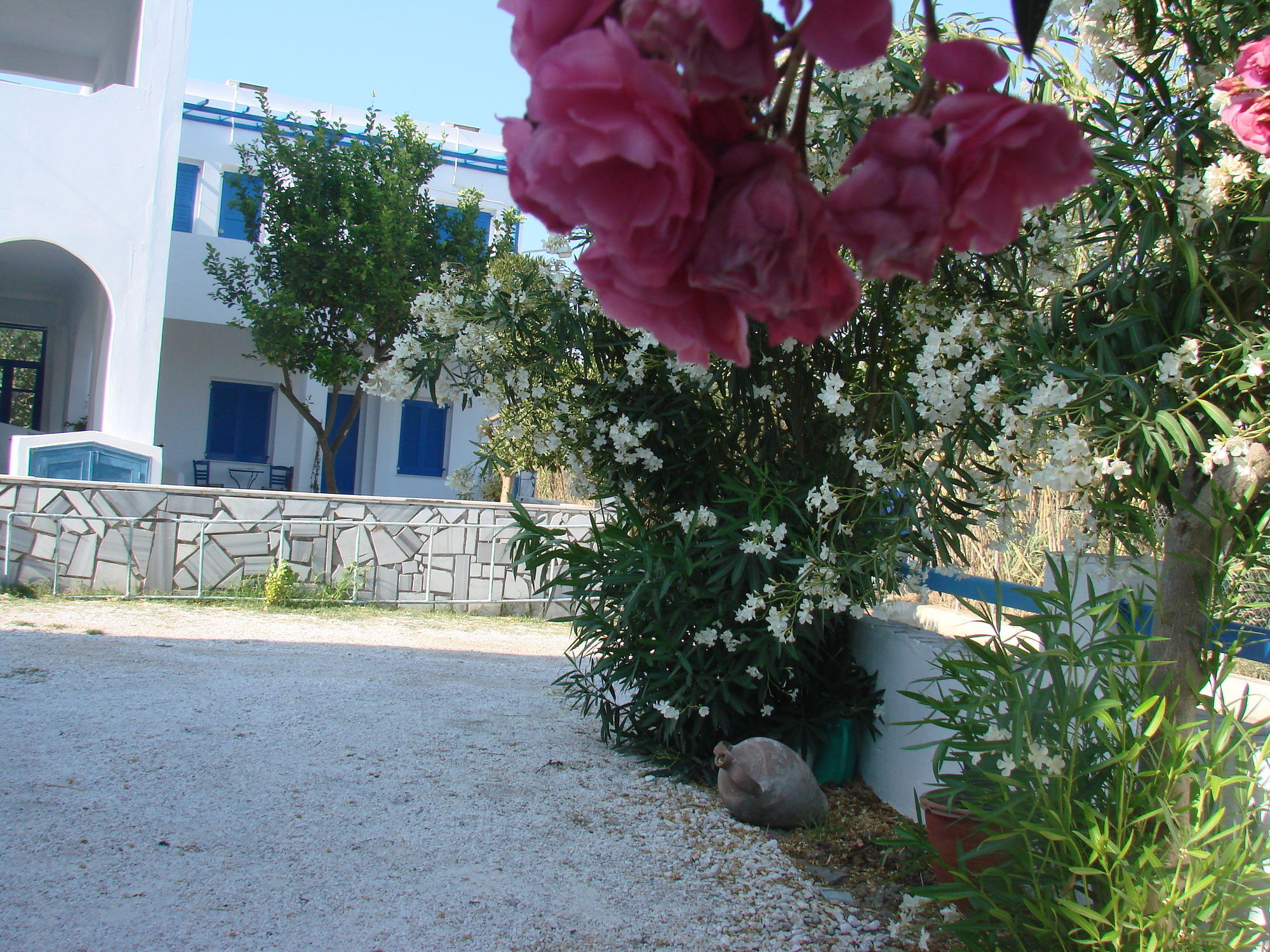 Hotel εvi Evan Galissas