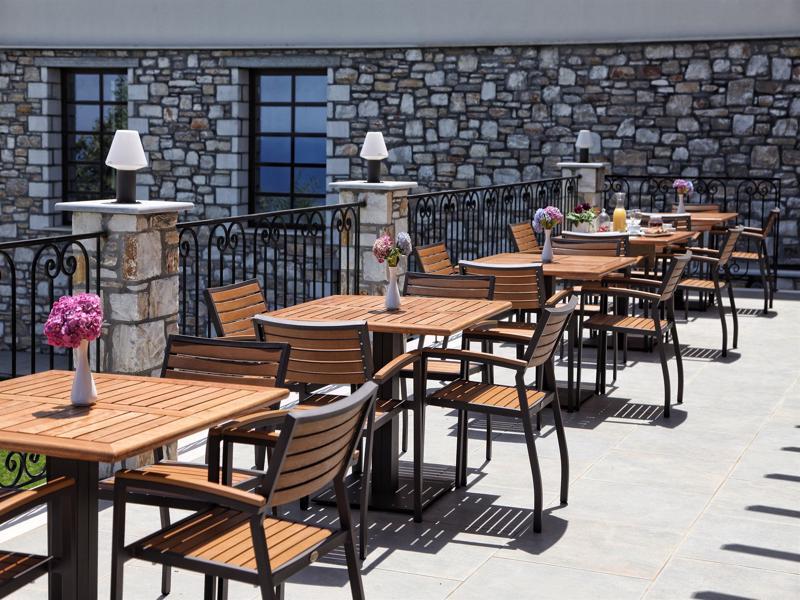 Hotel Theta Pelion