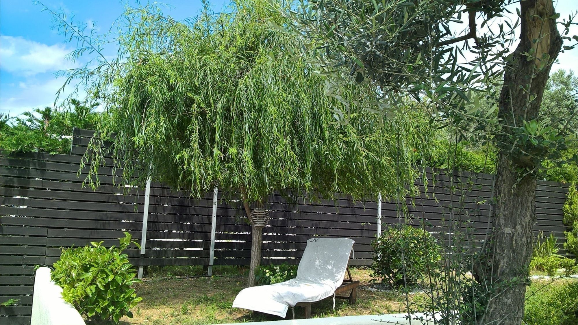 Mirothea Alonissos * Alonnisos Town