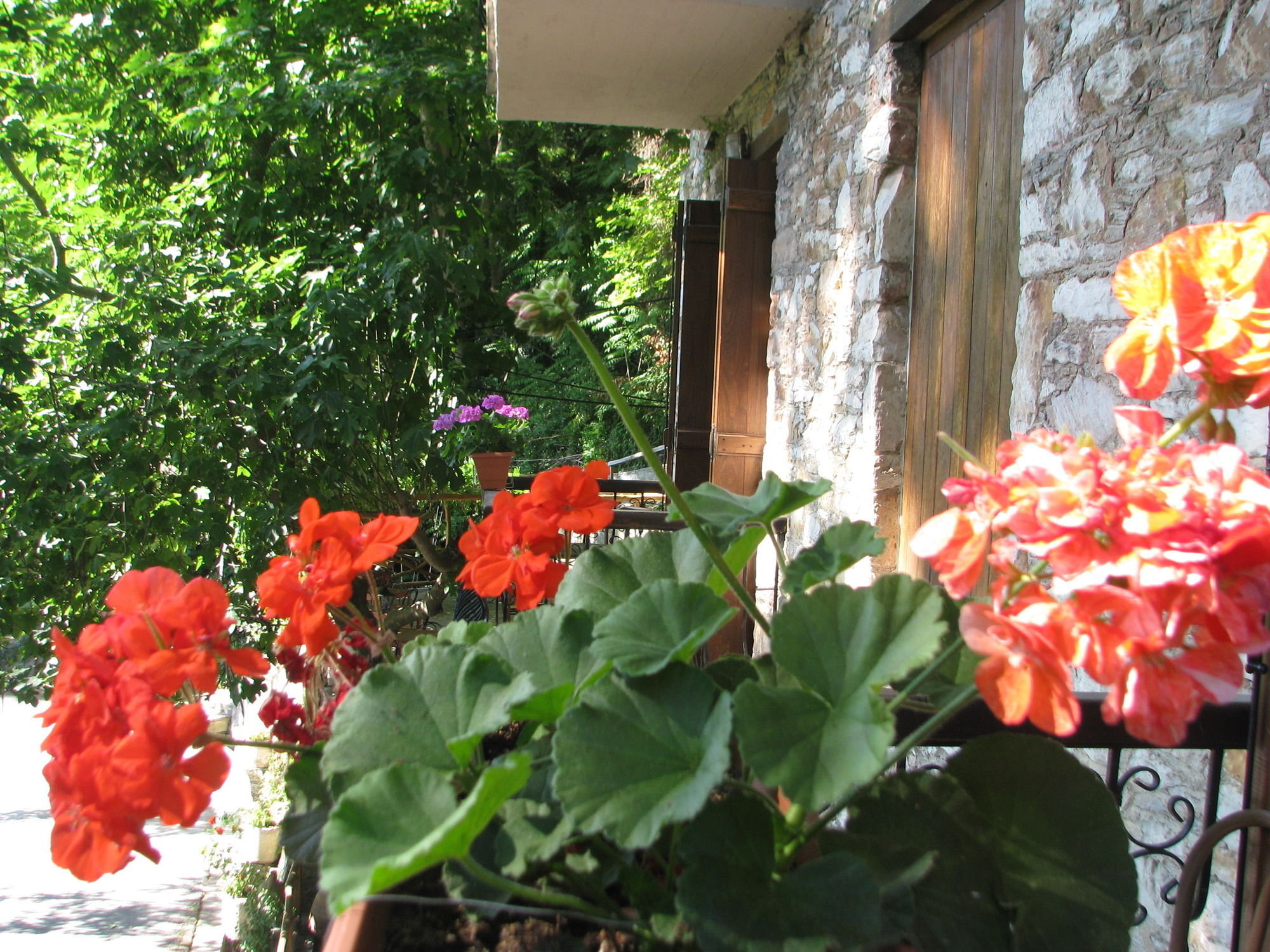 Hotel Palios Stathmos 4*