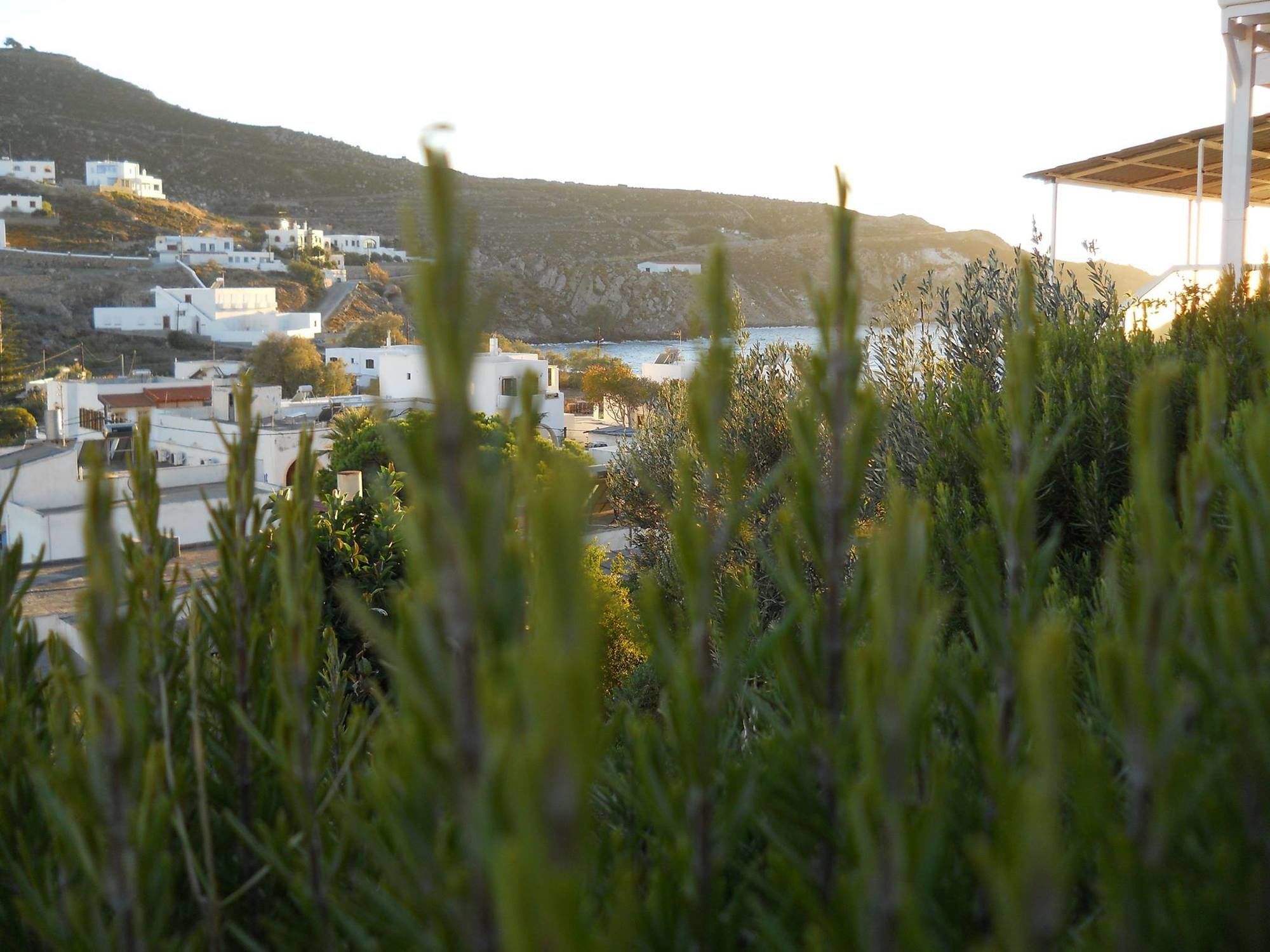Yvonni Skala (Patmos)