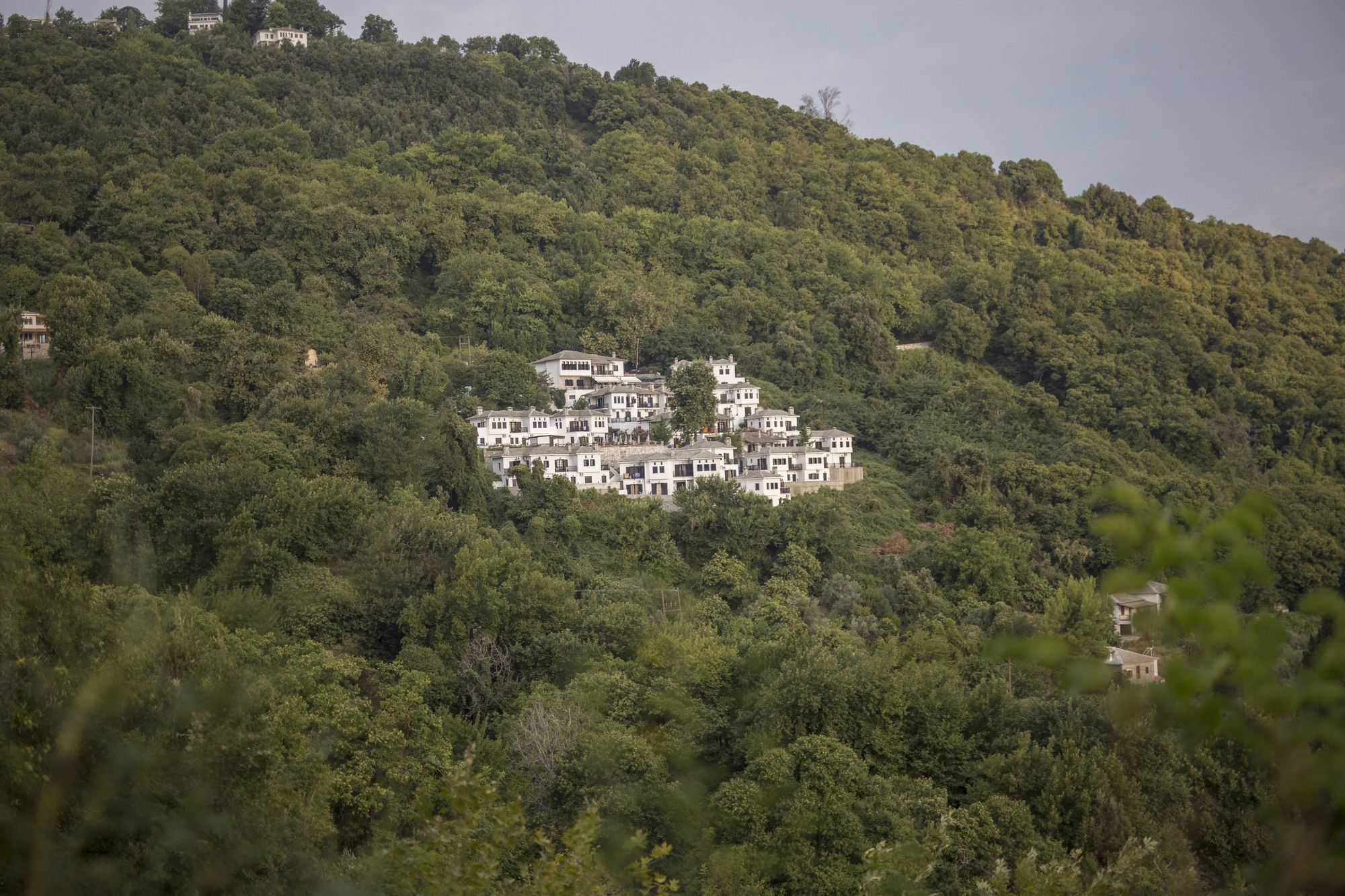 Hotel Pilio Sea Horizon