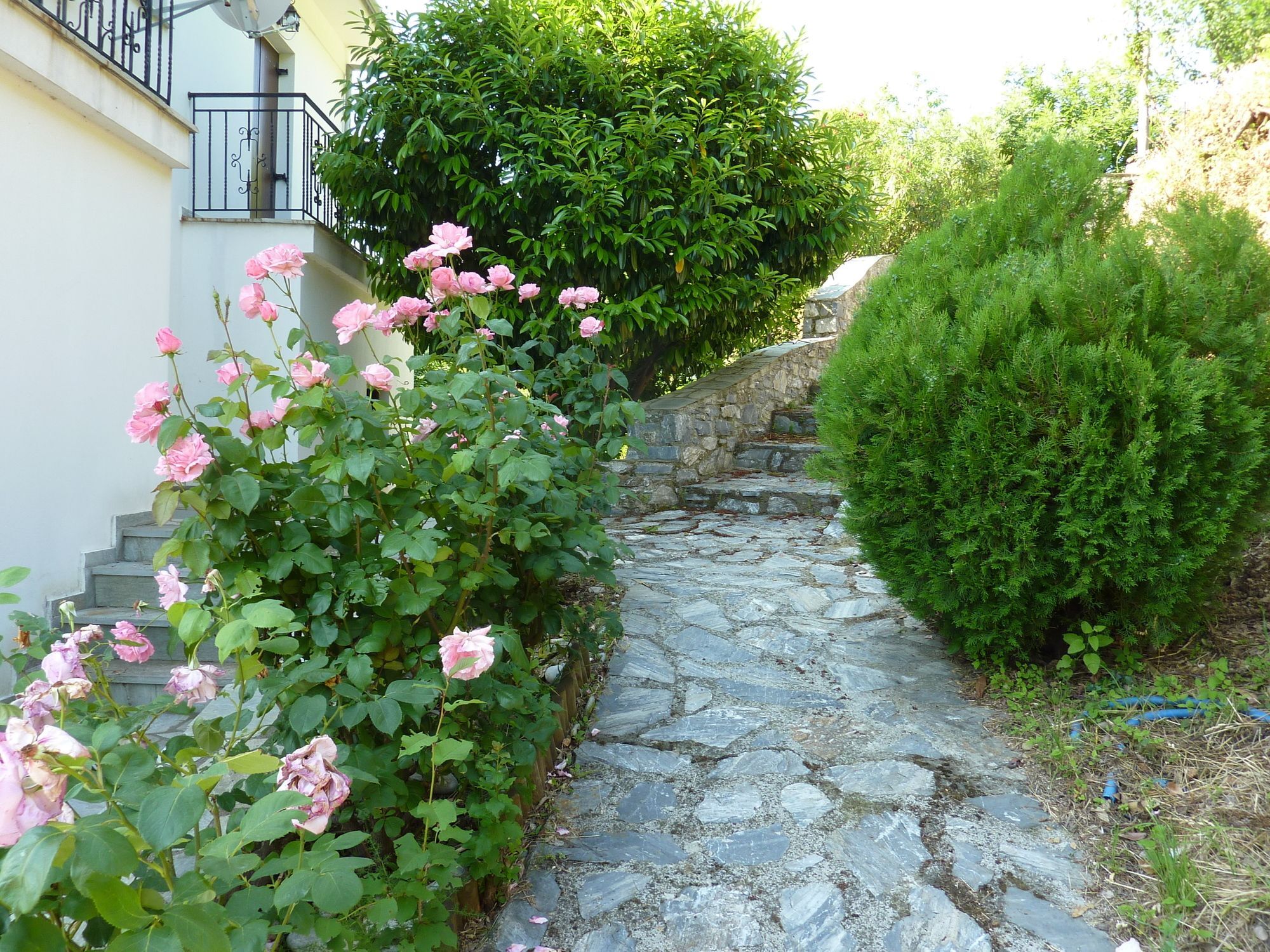 Thea Holiday home Makrirrakhi