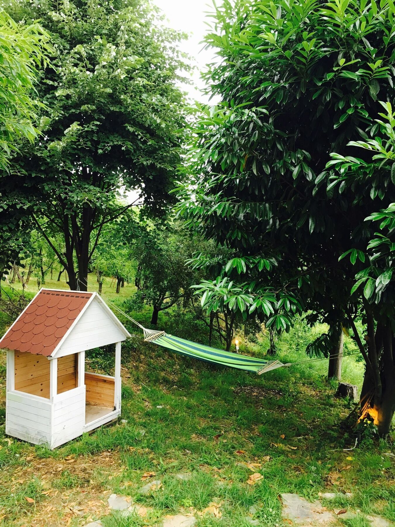 Thea Holiday home Makrirrakhi