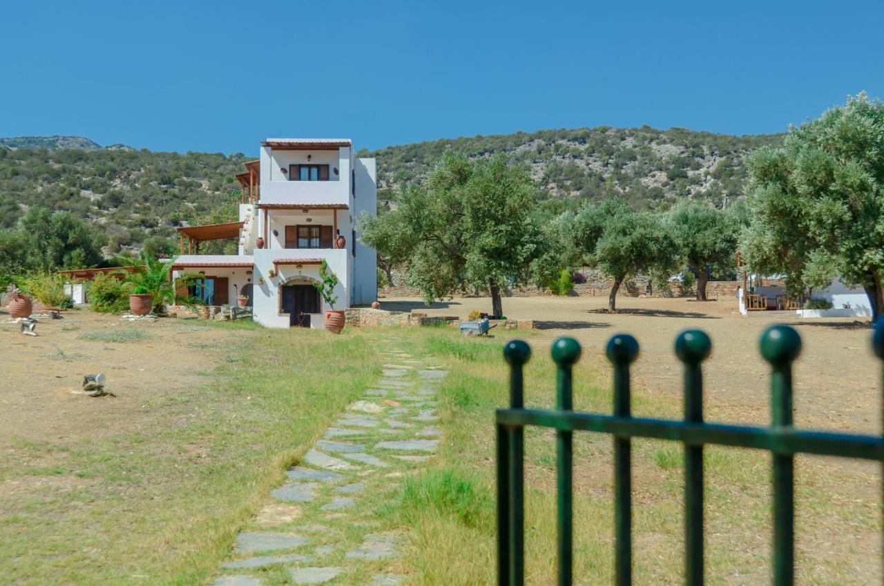 Apartment Theonis