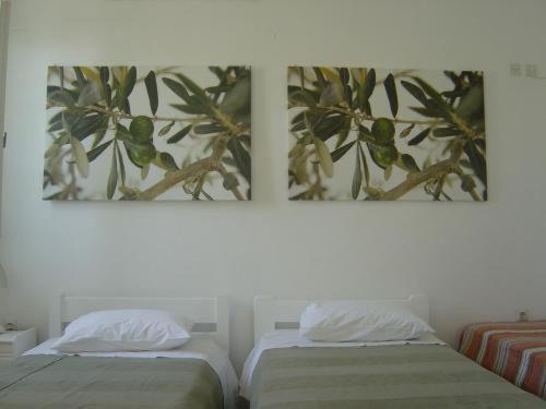 Aparthotel Sigma On The Naxos City