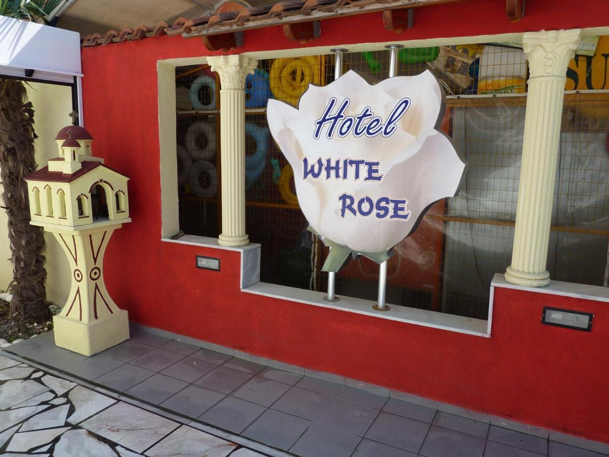White Rose
