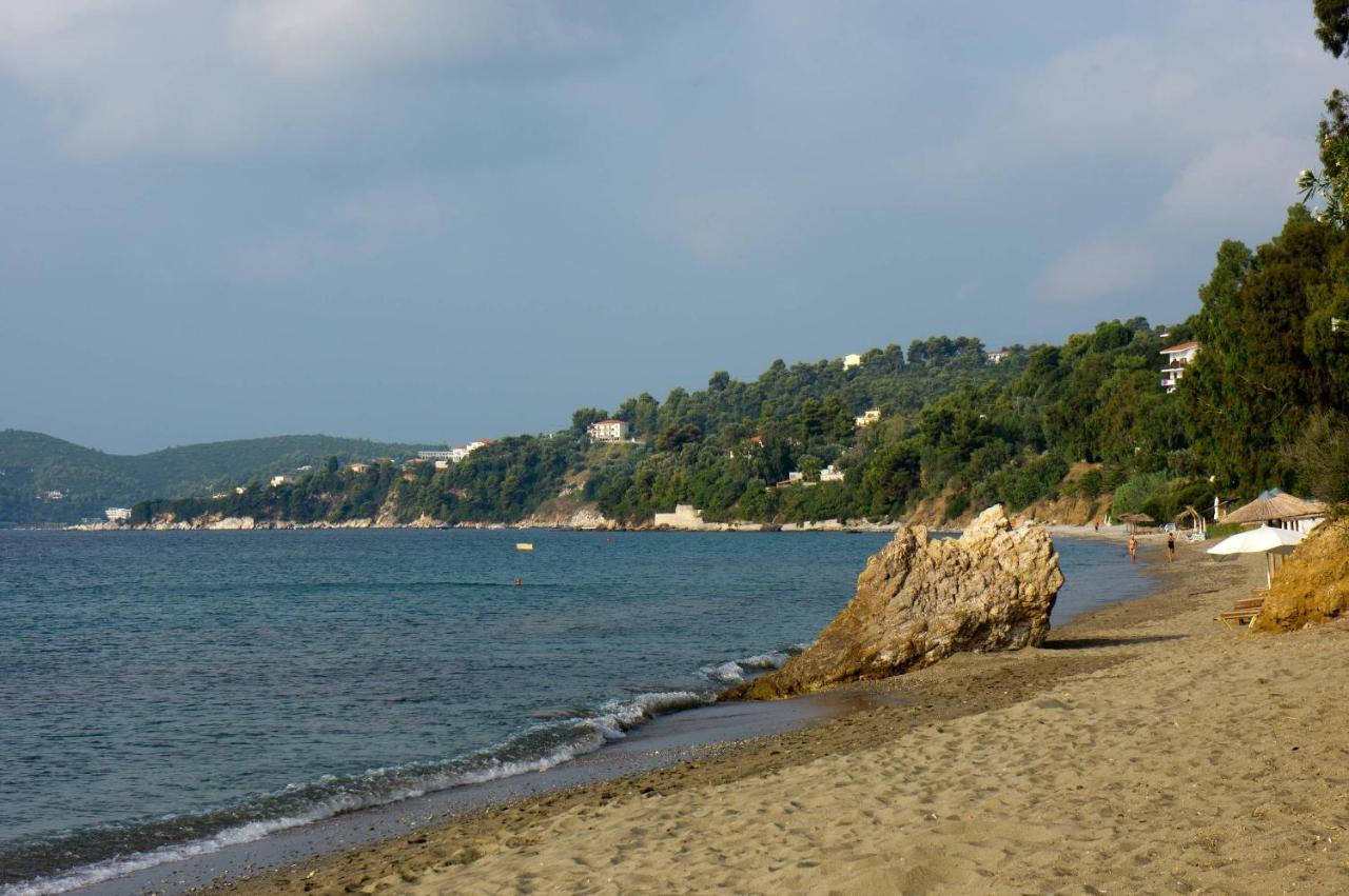 Aphrodite Skiathos Apartment *