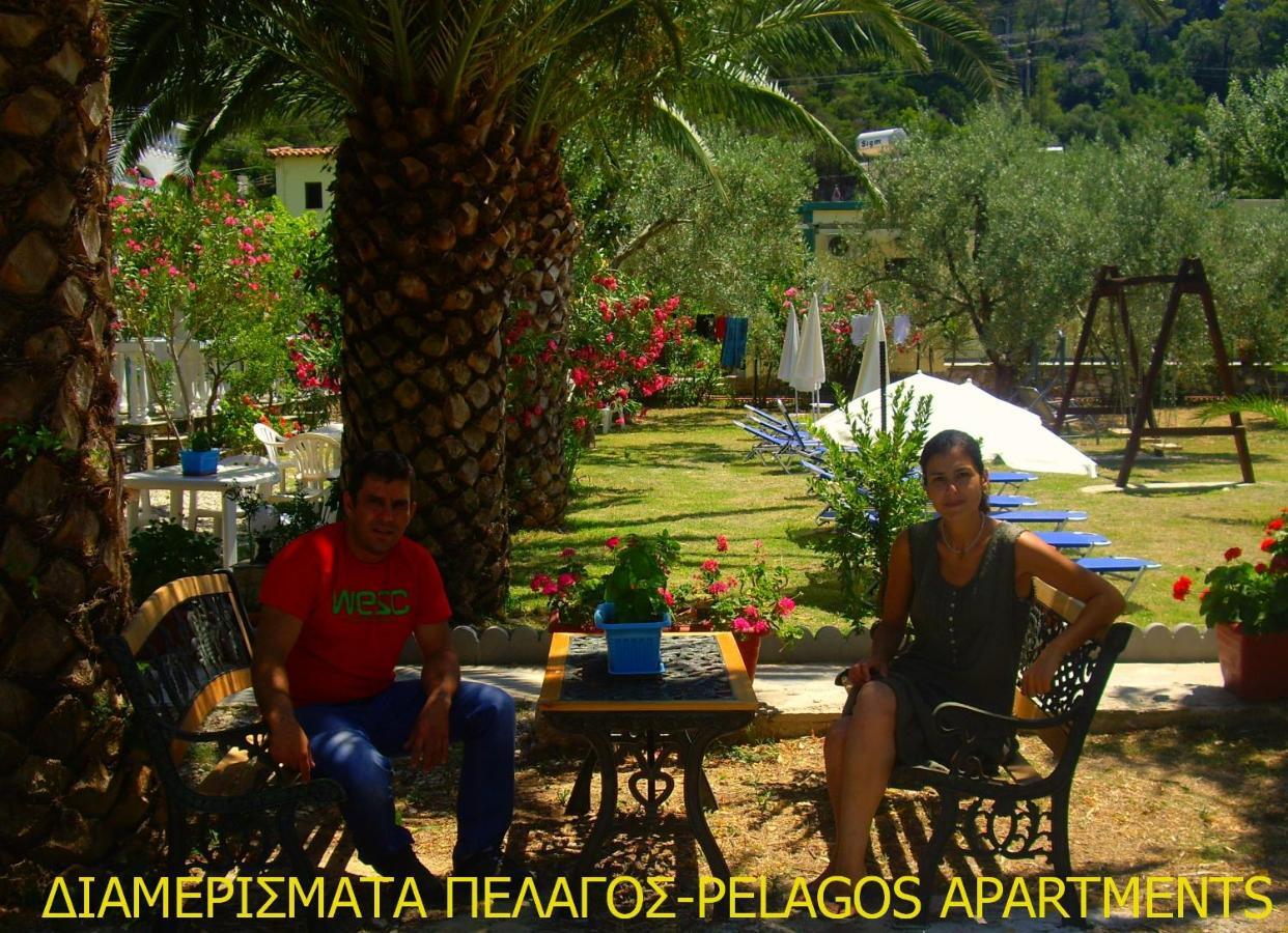 Pelagos Beachfront Apartment Panormos (Skopelos)