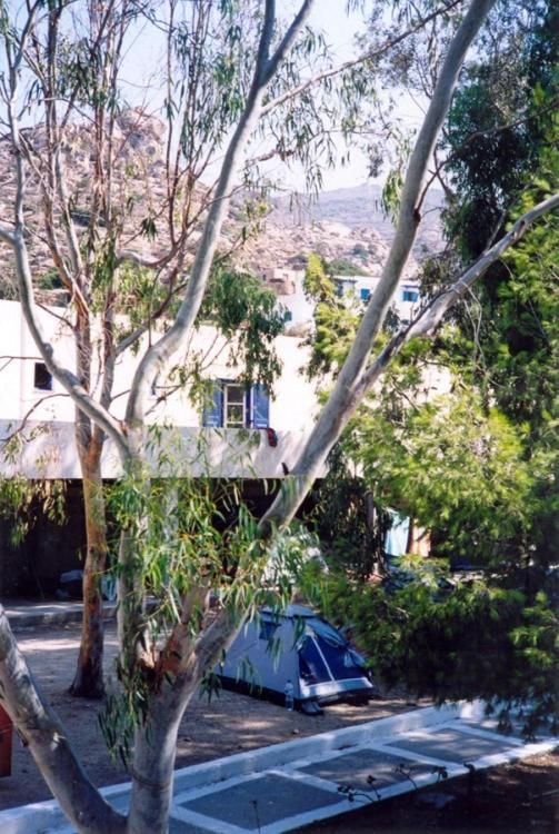 Hostel Purple Pig Stars Camping & Bungalows