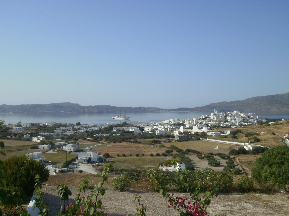 Psilandis