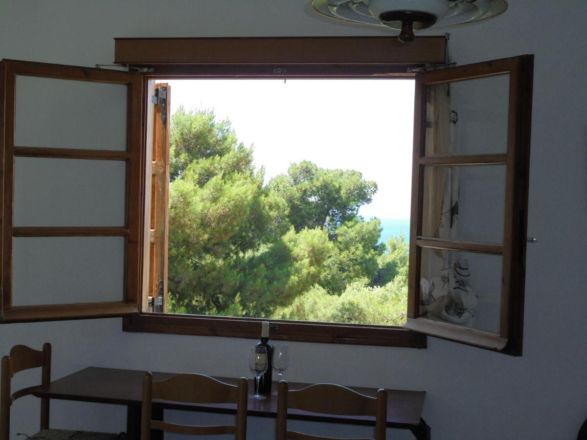 Aparthotel Agistri Skala (Agistri)
