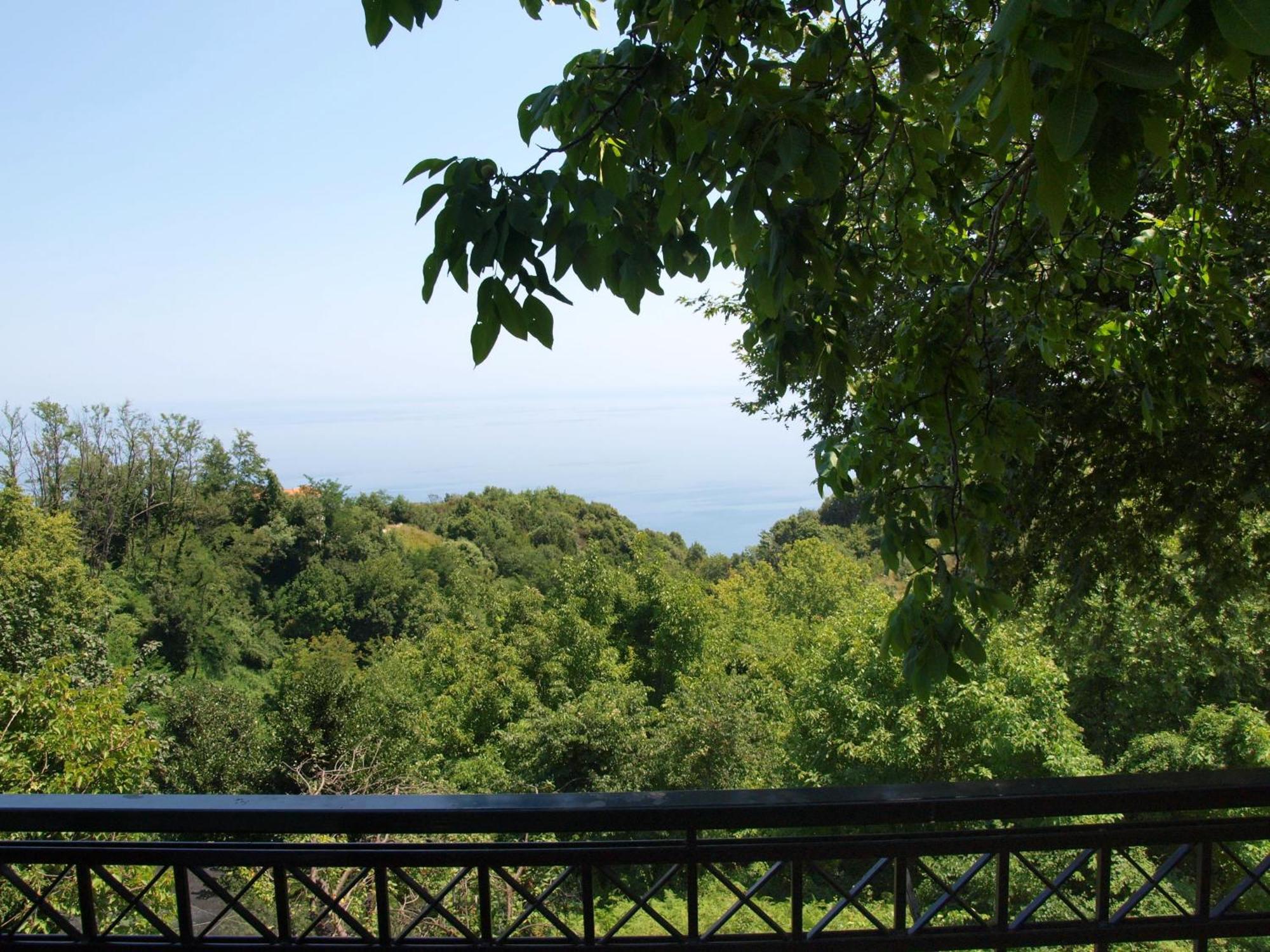 Guest house Olga Tsagarada
