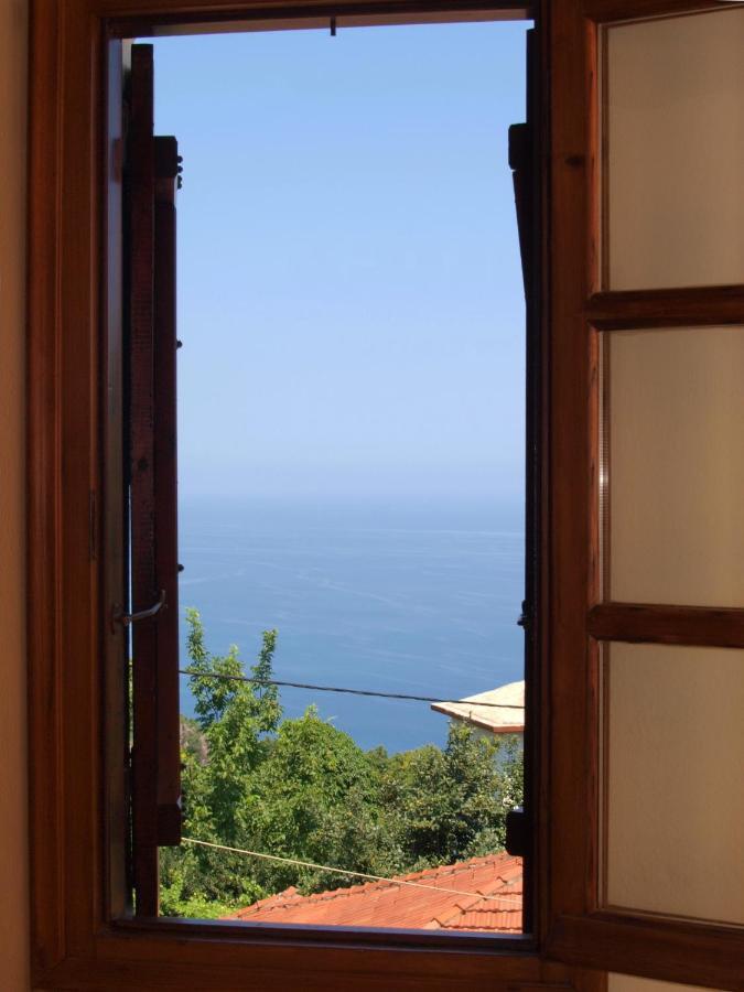 Olga Guest house