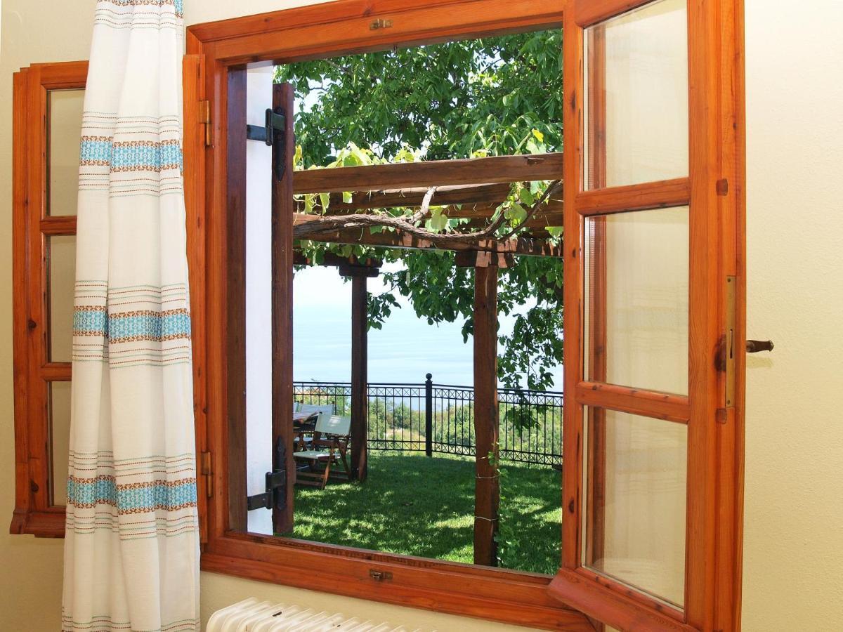 Olga Guest house *