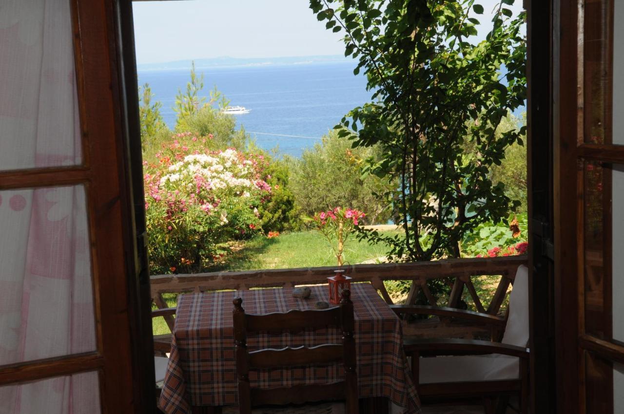 Apartment Arpyia Vasilikos (Zakynthos)