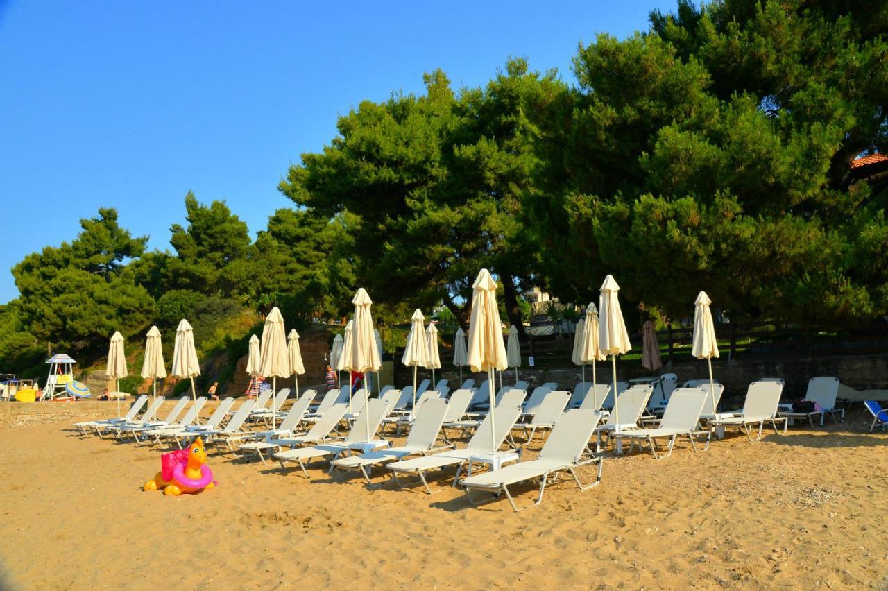 Golden Hotel 3*