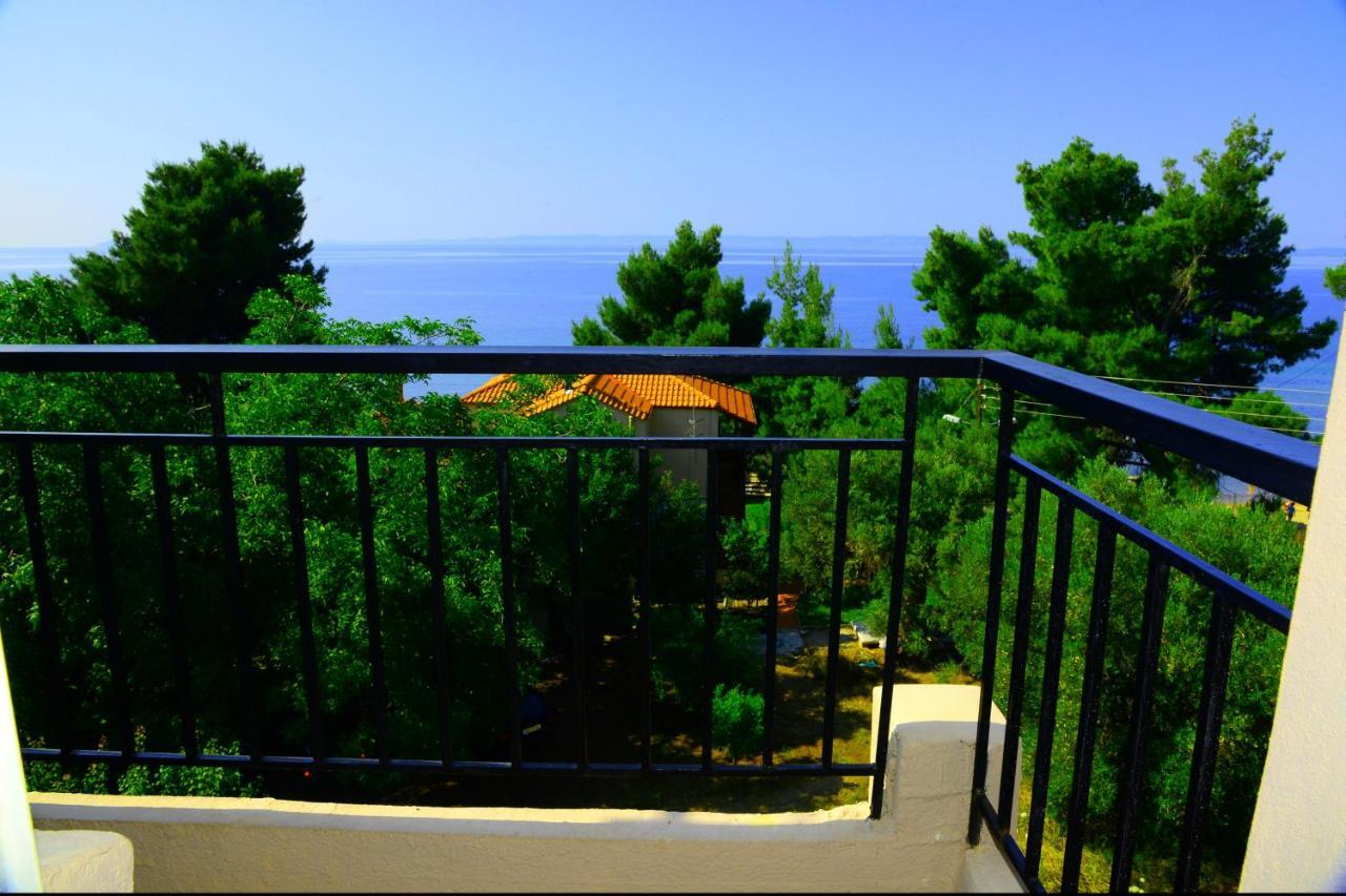 Hotel Golden Metamorfosi (Sithonia)