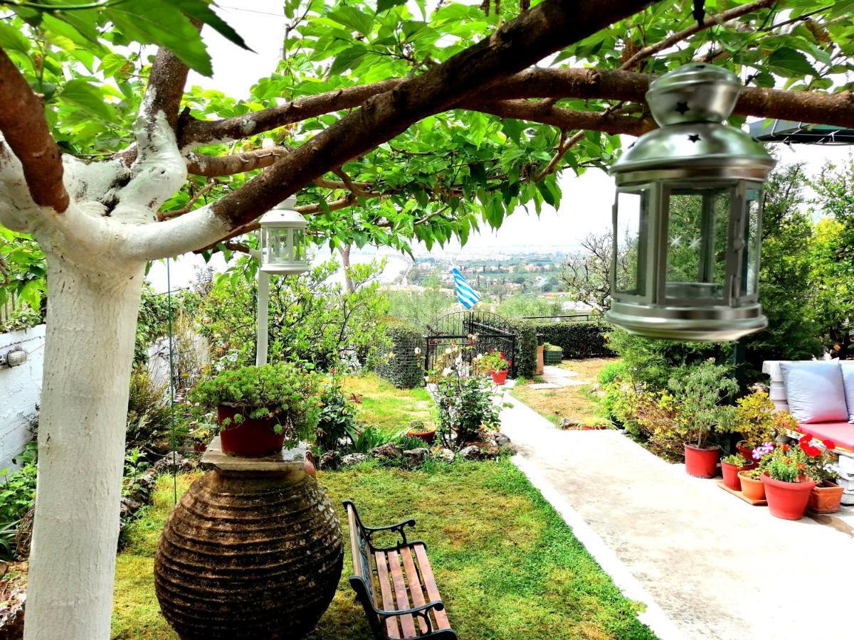 Vasiliki *
