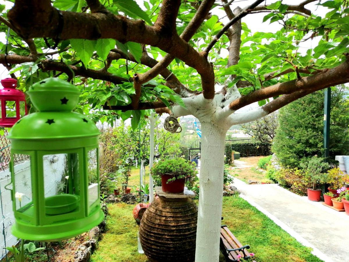 Vasiliki Apartment