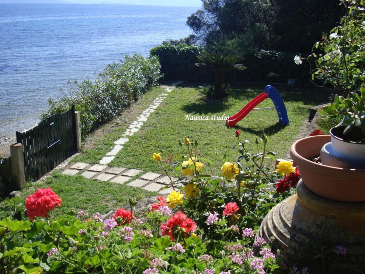 Nausica... A Sense Of Paradise!