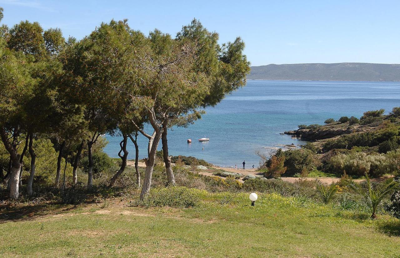 Sounio Golden View