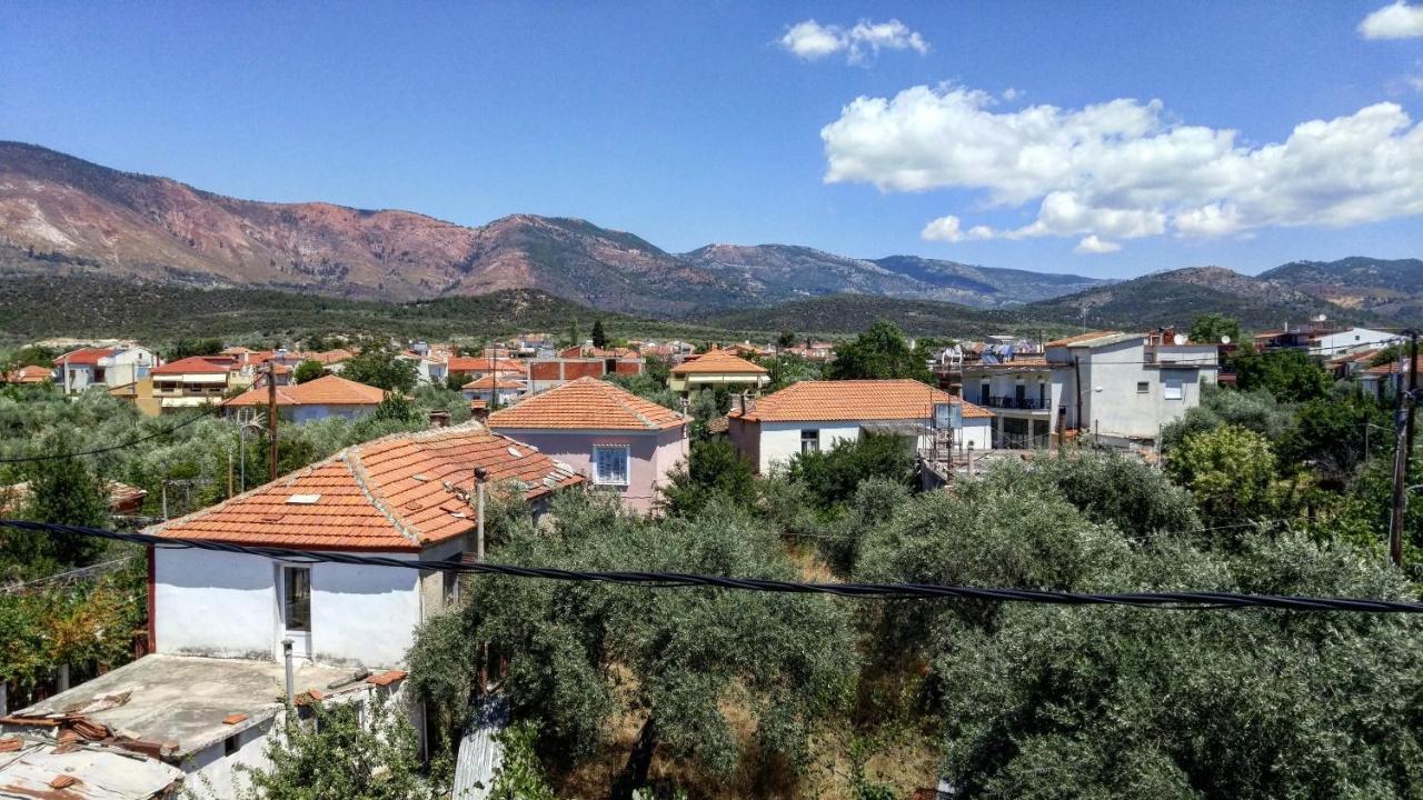 Olive Grove House Apartment