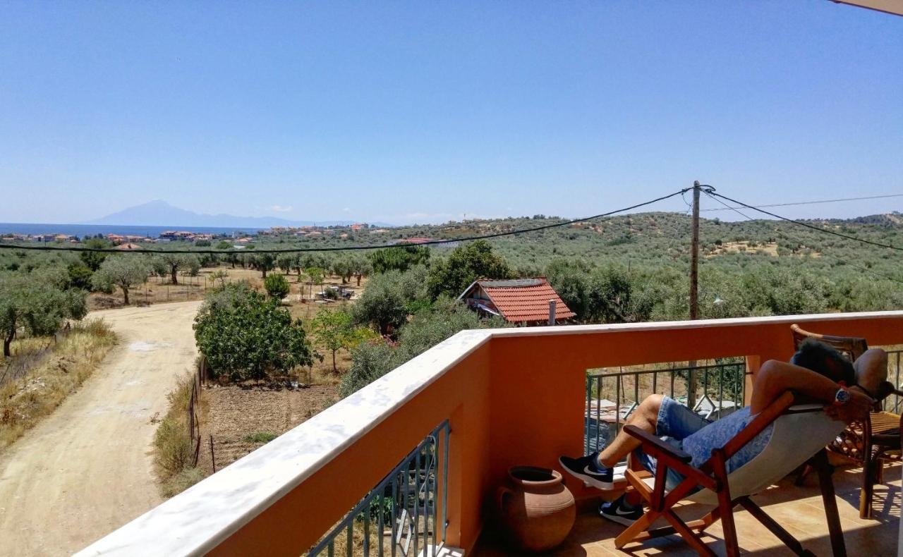 Olive Grove House *