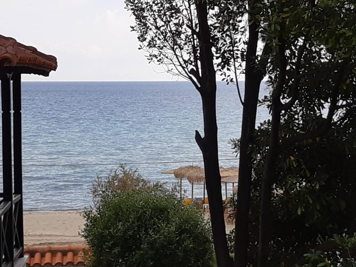 Sofia's Pearl Beachfront Maisonette Holiday home