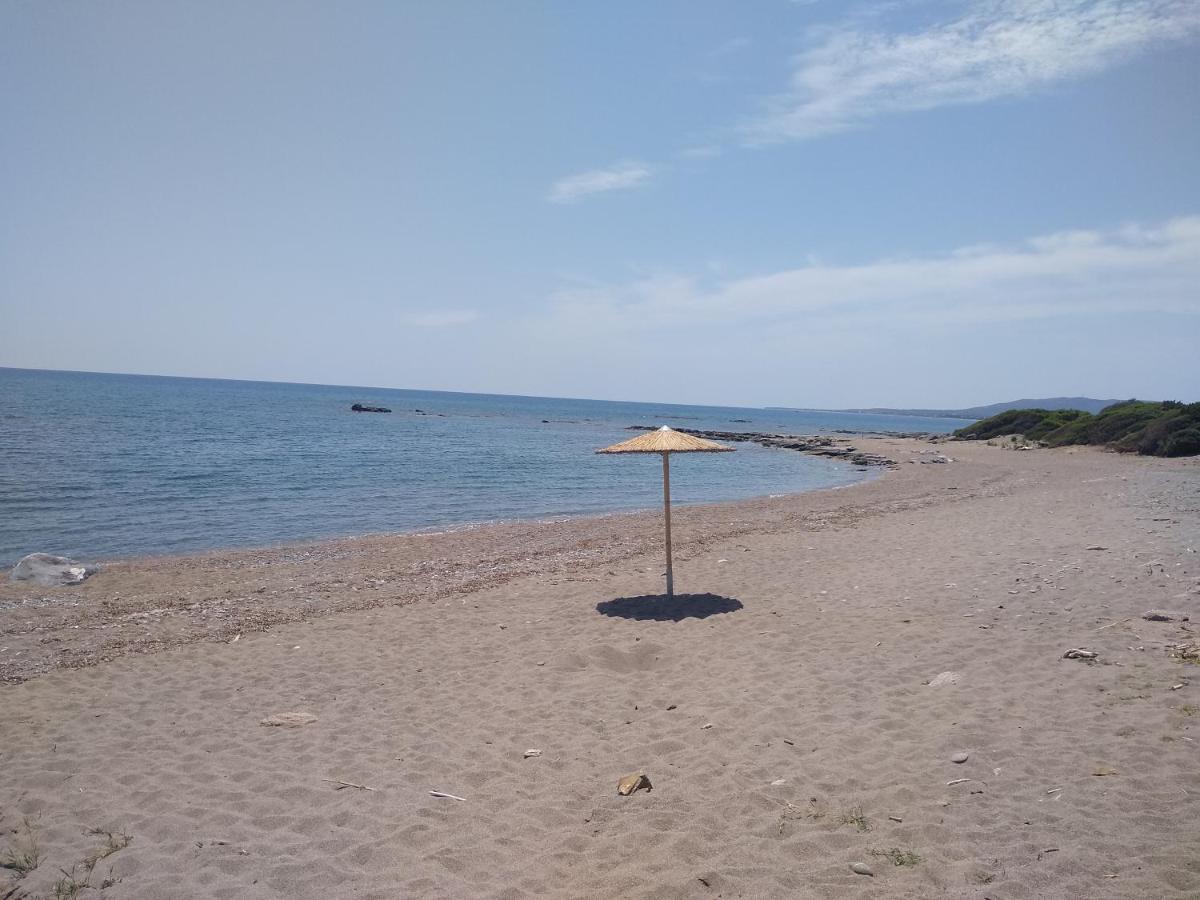 Nastazia *