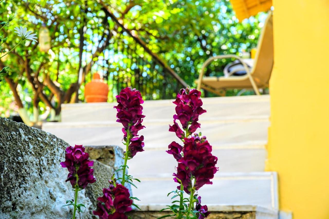 Holiday home Agnanti House *