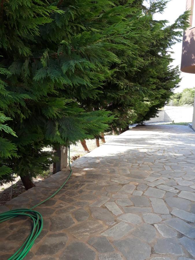 Ithakis Apartment *