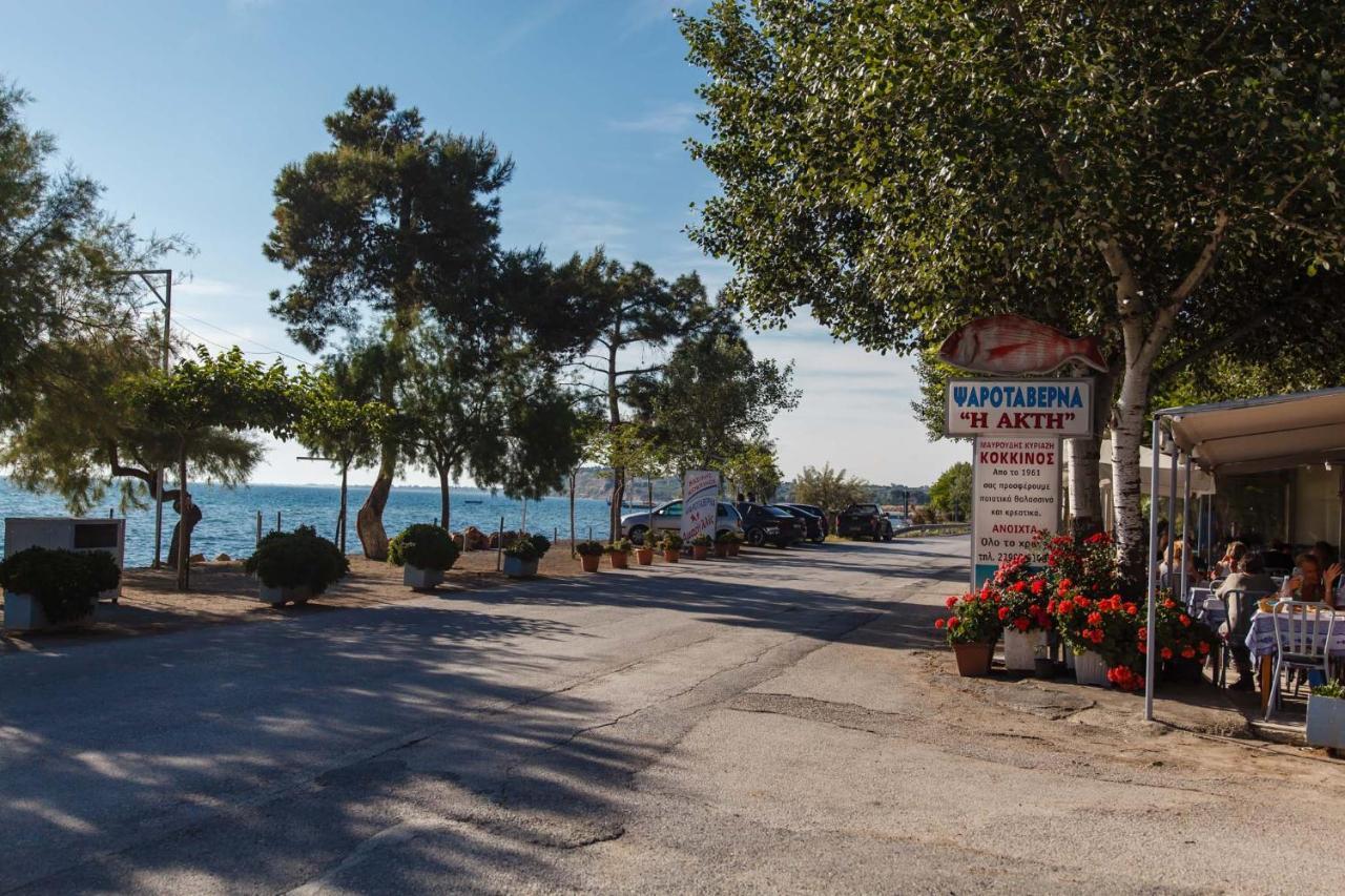 Seaside Halkidiki * Nea Iraklia