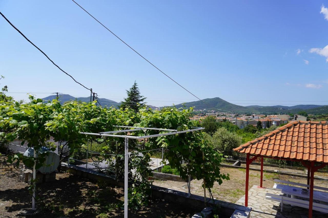 Paradise Residency * Nea Iraklitsa