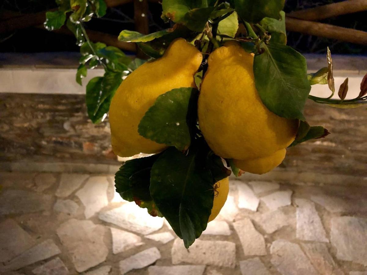 Villa Stone Nest Andros Livadia (Andros)