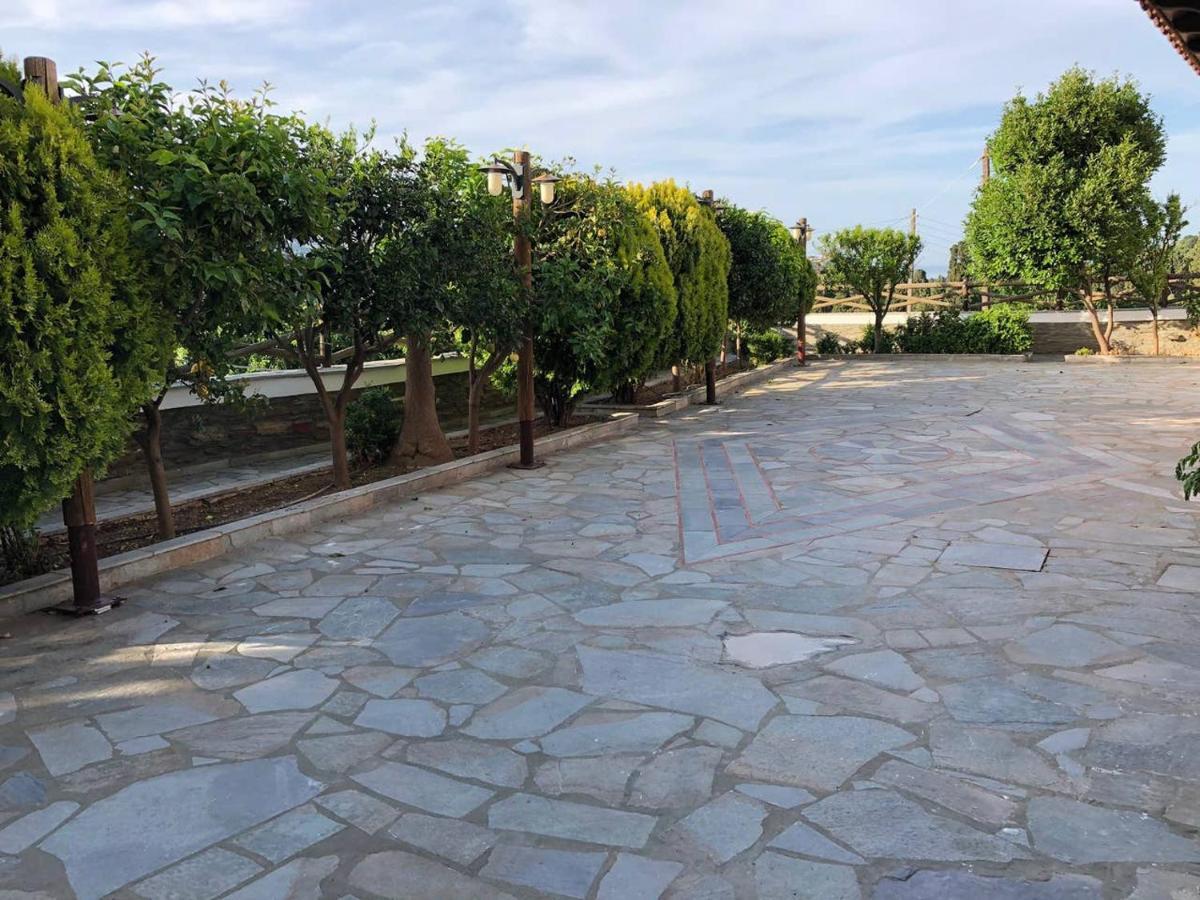 Villa Stone Nest Andros Livadia (Andros)