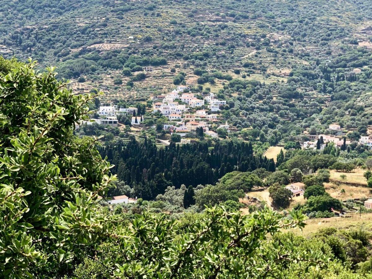 Tranquil Andros * Livadia (Andros)