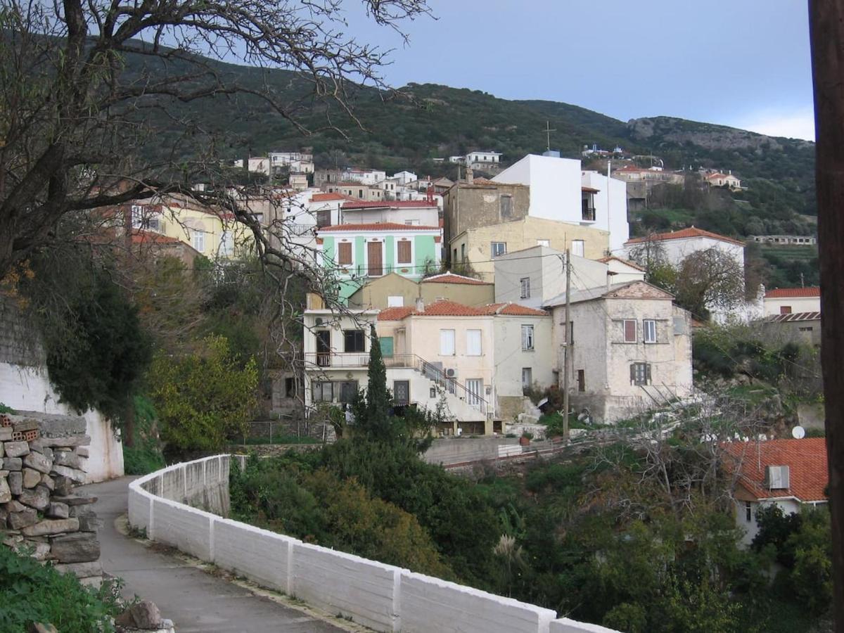 Samos 1880 Holiday home Marathokampos