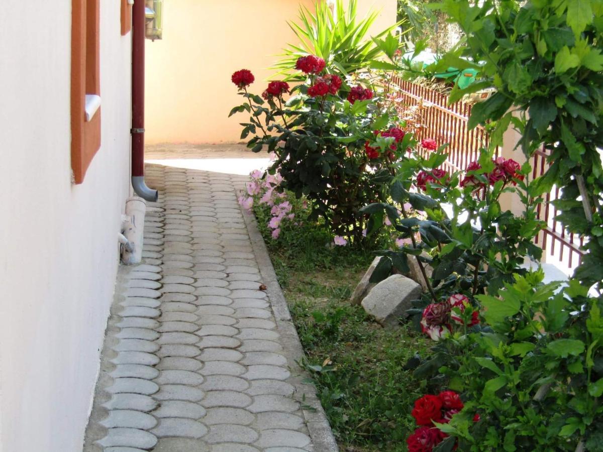 Apartment Olive Grove House *