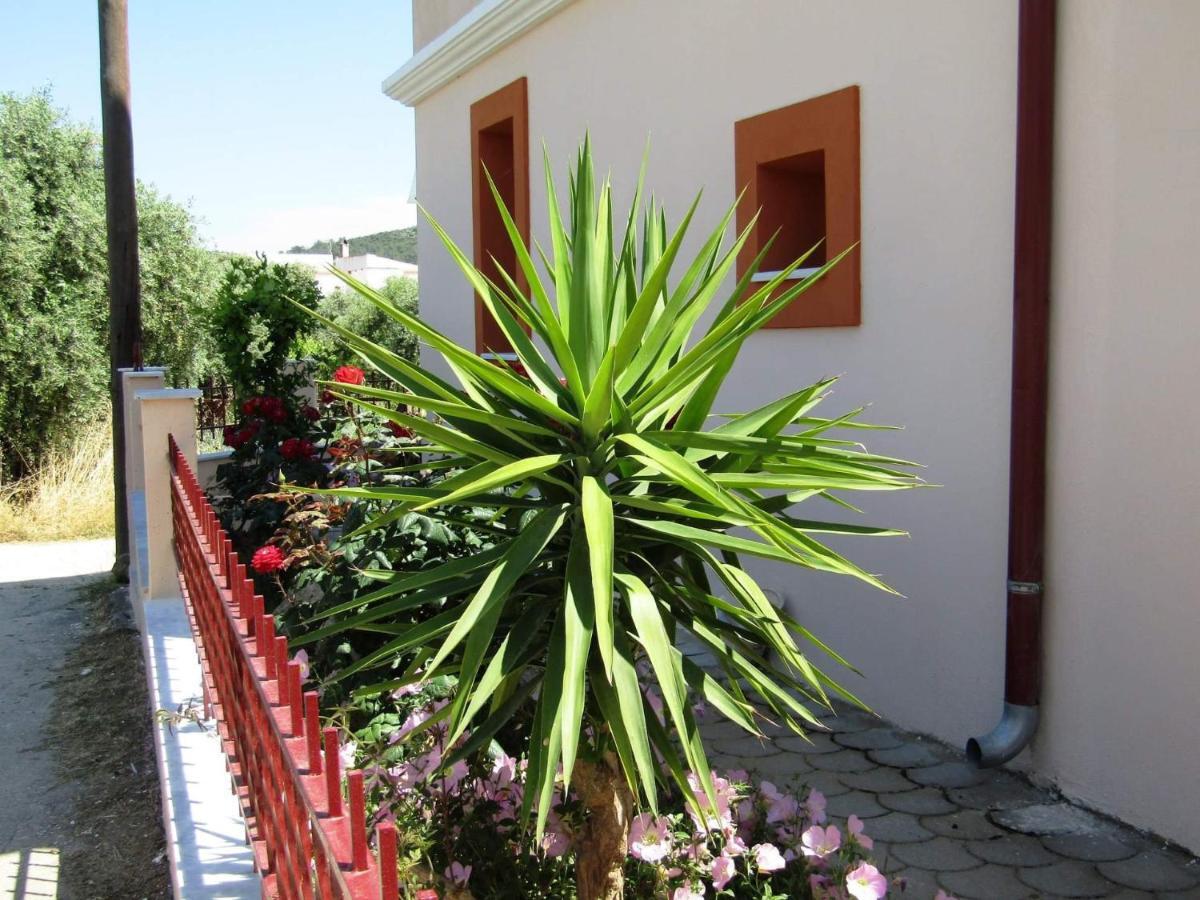 Apartment Olive Grove House *