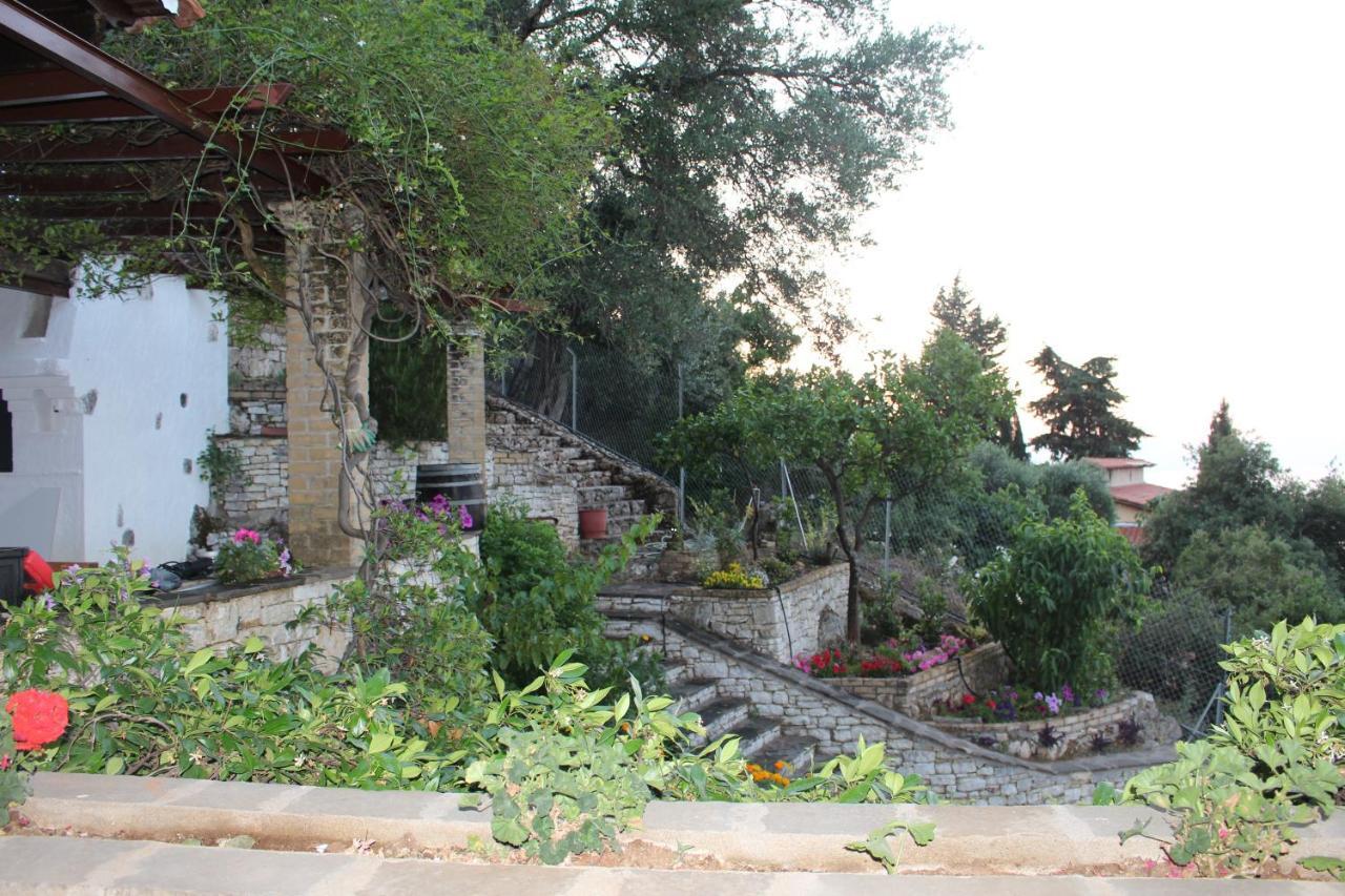 Sterna Apartment