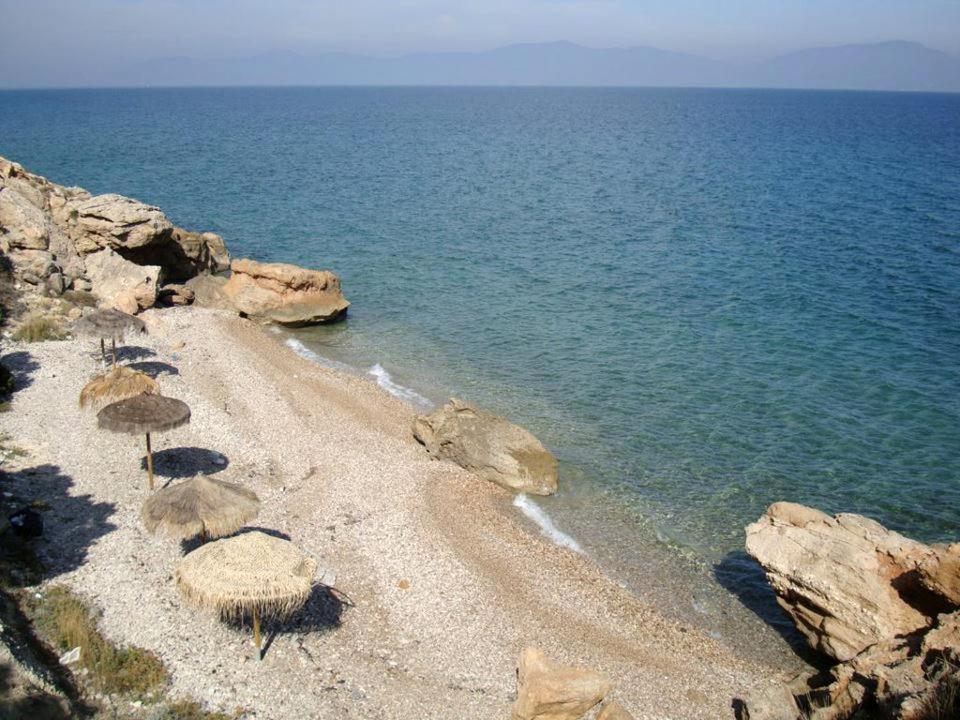 Theologos: Front Sea View