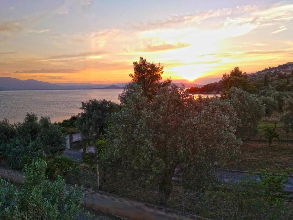 Theologos: Front Sea View Apartment *