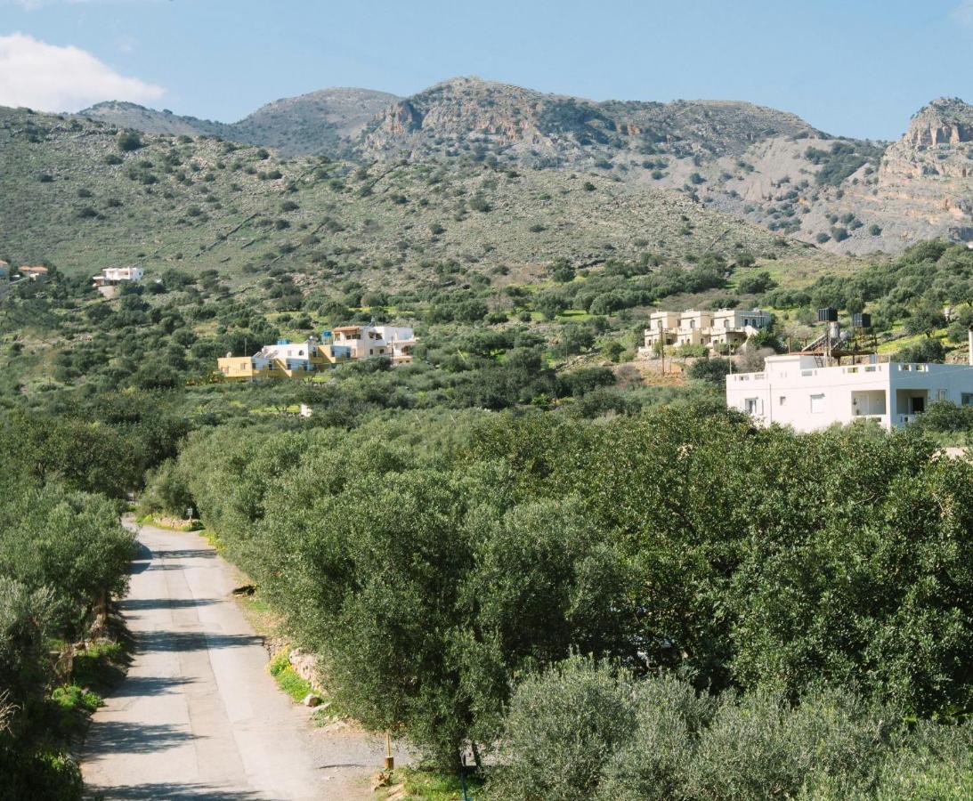 George Elounda (Crete)