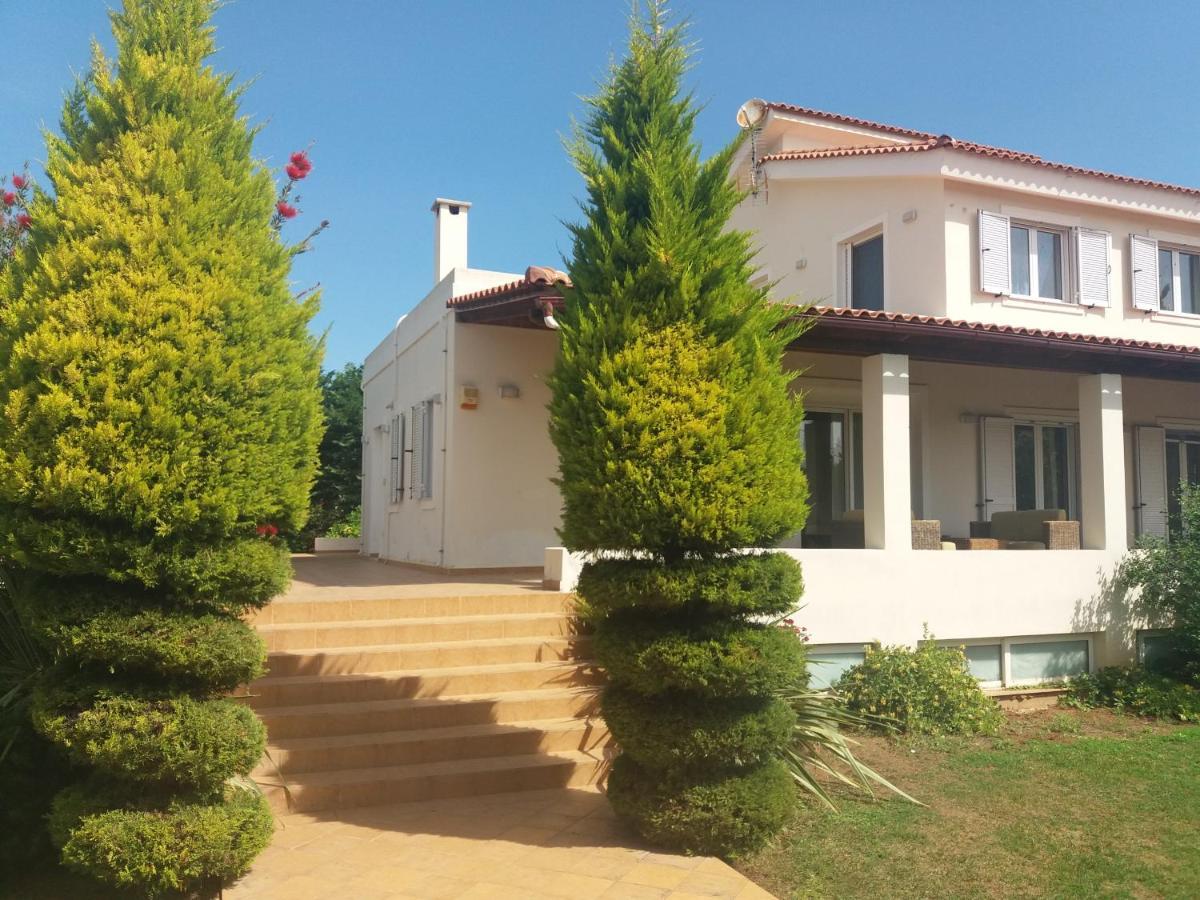 Villa Beautiful Summer In Chalkoutsi