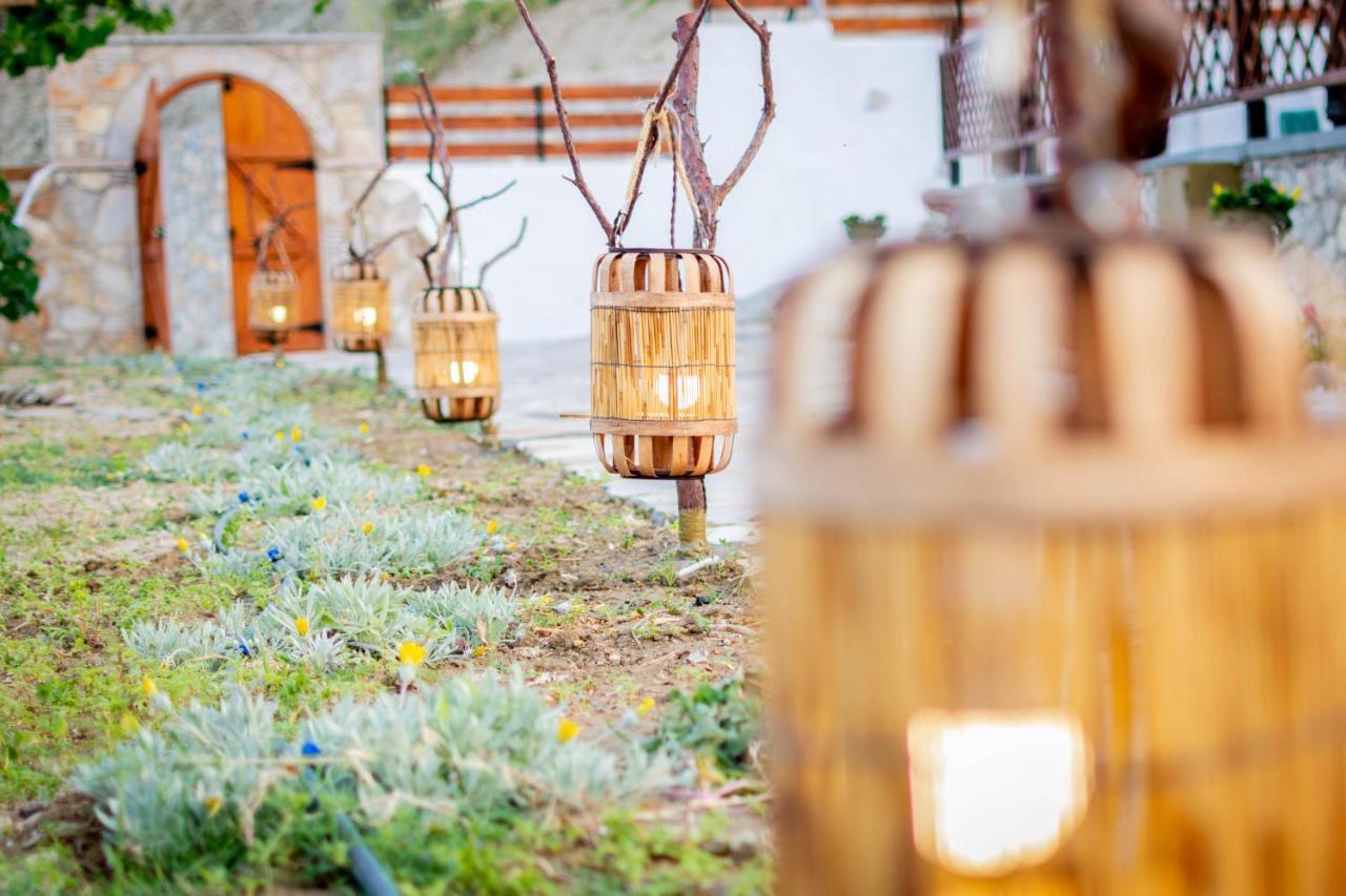Country house Ktima Argyrou Stegna *