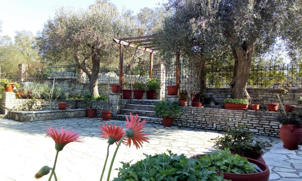 Olive Garden, Kastanida - Paxoi Gaios