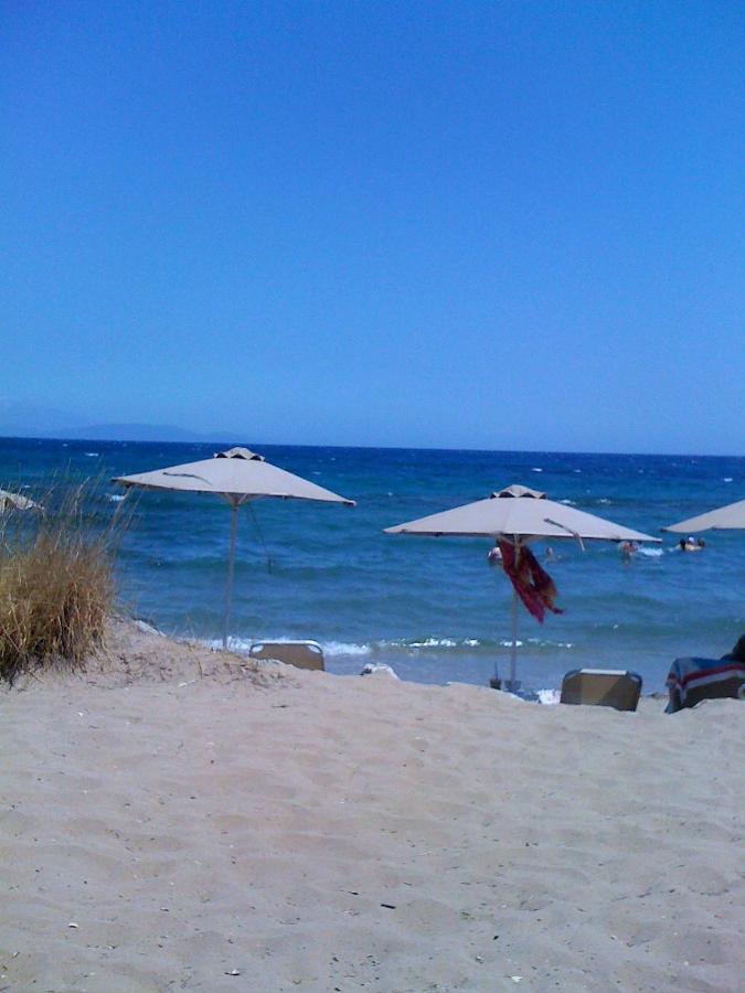 Apartment Calypso Artemida (Attica)